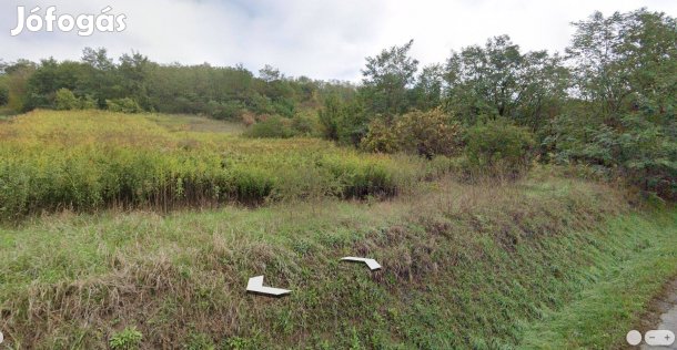 Úny határában 4256 nm zártkert eladó!