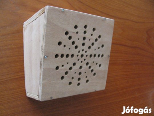 Üres hangszóró fadoboz