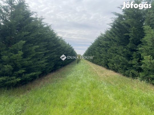 Úrhidai eladó 5633 nm-es telek