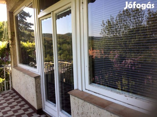 Uveg ajtok belso-kulso (1960 evek stilusban)