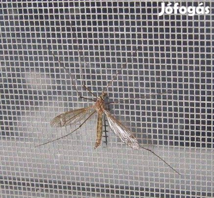 Üvegszálas Szúnyoghálók ingyenes országos szállítással, FG-120. 1, 2 x