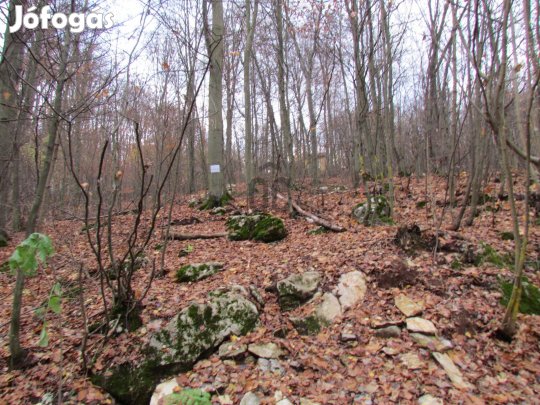 VARÁZSLATOS TELEK ELADÓ A BÜKKI NEMZETI PARK MELLETT!
