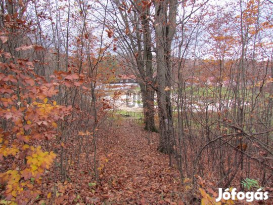 VARÁZSLATOS TELEK ELADÓ A BÜKKI NEMZETI PARK MELLETT!