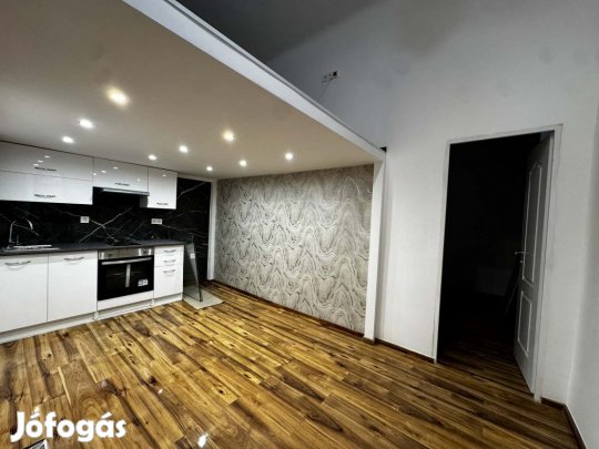 VIII. Kerület, Baross utca, 35 m2-es, társasházi lakás, 1 szobás
