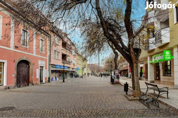 Vác belvárosában, 4 szobás, erkélyes, emeleti lakás eladó!