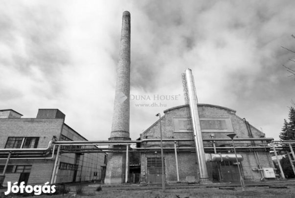 Váci eladó 5234 nm-es gyár