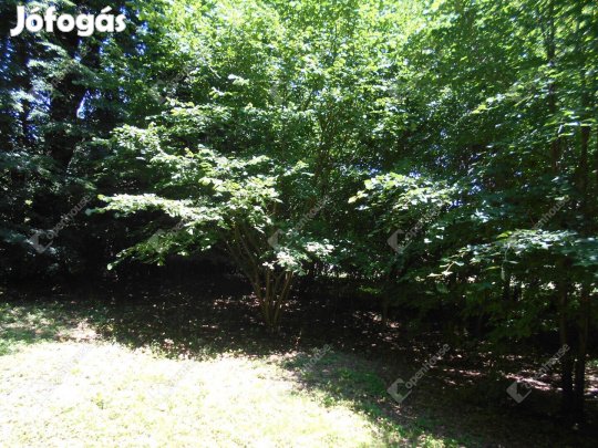 Vadása tó közeli felújítandó  családi ház.