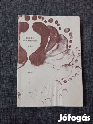 Vadasy Camino miről beszélünk vol 1.0