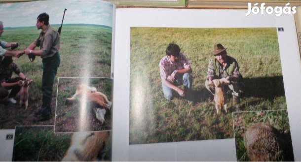 Vadász könyv sikerkönyv Új