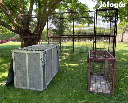 Vaddisznó befogó ketrec és szállító ládák