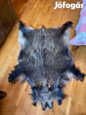 Vaddisznó bőr, 1,5x1,3 méteres