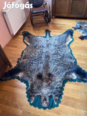 Vaddisznő bőr szép állapotban, 2x1,5 méteres