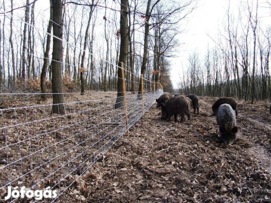 Vadháló, horganyzott Csavart kötésű 2, 0 x 50 m címére szállítva orszá