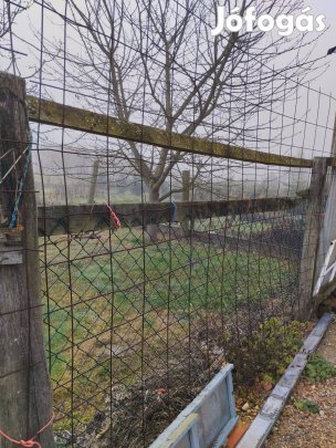 Vadháló eladó
