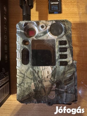 Vadkamera - Boly Guard Bat BG310-MFP 4G