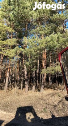 Vágásérett erdő eladó!