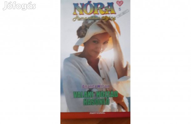 Valaki hozzád hasonló, Amanda Wilson kisregénye eladó