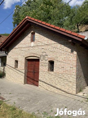 Vállalkozás céljára is alkalmas borház kis pincével ELADÓ!