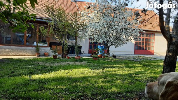 Vállalkozásra alkalmas családi ház Eladó