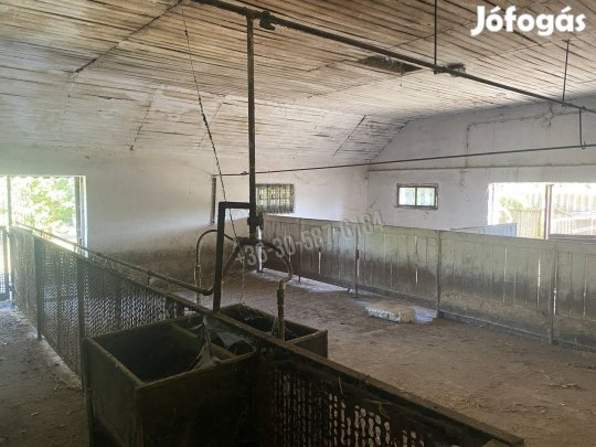 Vállalkozóknak kihagyhatatlan ajánlat! Püspökladány Északi sor 15_beho