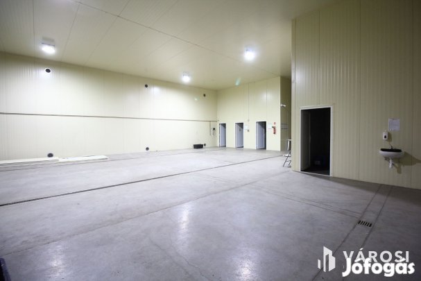 Vállalkozz profi környezetben.