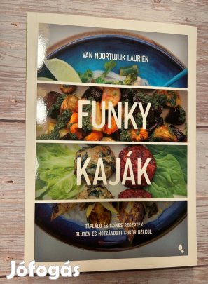 Van Noortwijk Laurien: Funky kaják