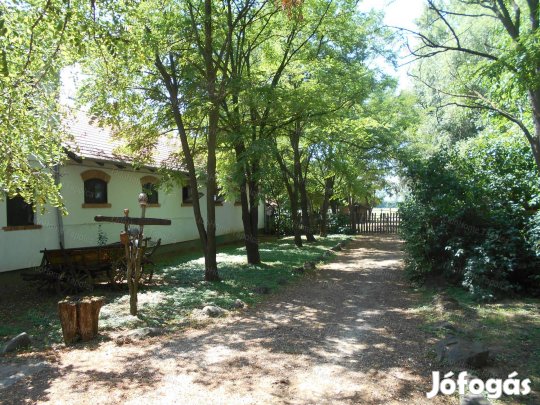 Varázslatos lovasbirtok, itt megvalósulnak az álmok!