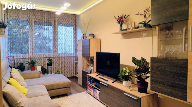 Vargakert ben gyönyörű állapotban lévő lakás tulajdonostól eladó!