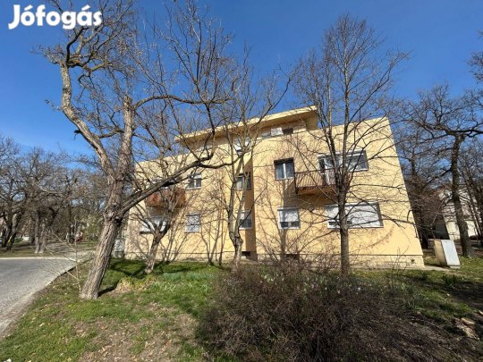 Várpalota 3 szobás, napfényes téglalakás