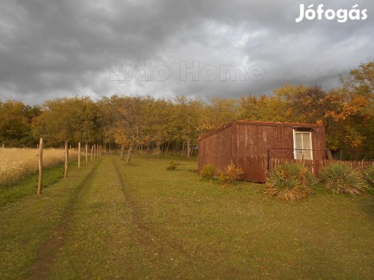 Várvölgyi panorámás telek, lakókonténerében nyaralni lehet!