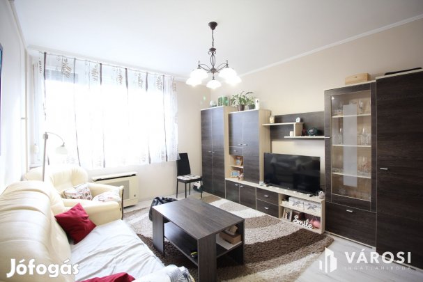 Vásárhelyen a Kertvároban, platánfás környezetben