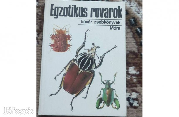 Vásárhelyi Tamás: Egzotikus rovarok