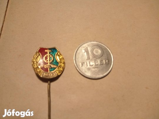 Vasas Szakszervezeti jelvény 