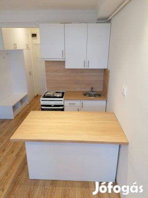 Vasvári Pál utcán földszinti garzon lakás eladó