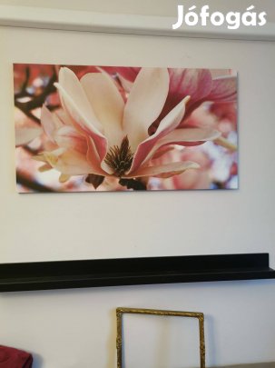 Vászonkép Magnólia virág 90*50 cm