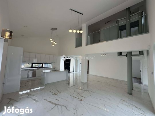 Vecsési 242 nm-es ház eladó