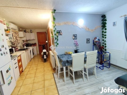 Vecsési 44 nm-es ház eladó