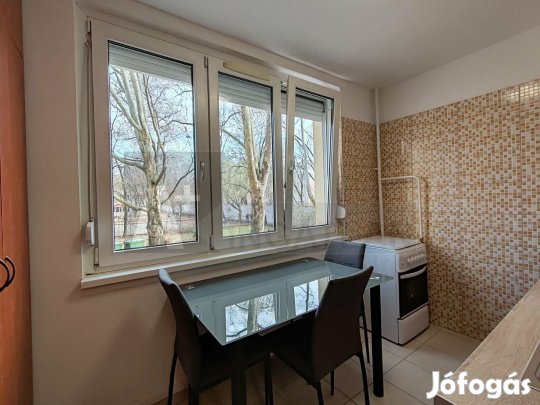 Vedres utcai 2 szobás földszinti panel lakás kiadó
