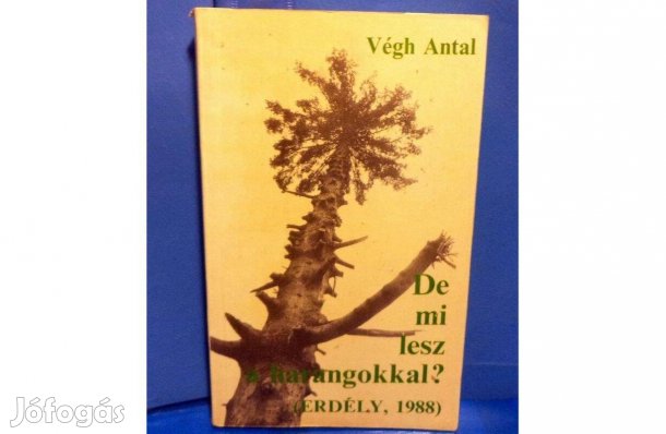 Végh Antal: De mi lesz a harangokkal? /Erdély , 1988