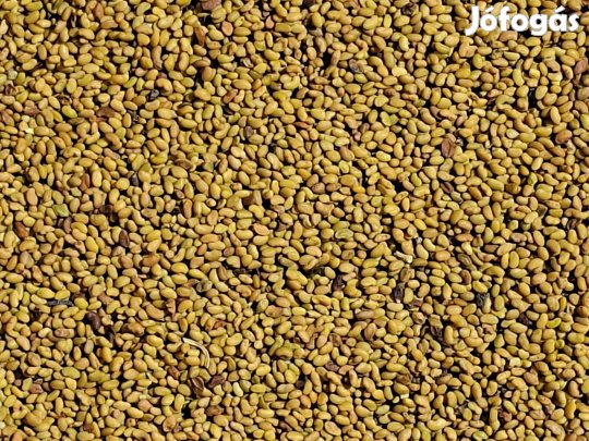 Vékonyszárú Lucernamag, Lucerna mag Eladó Postai Utánvétellel