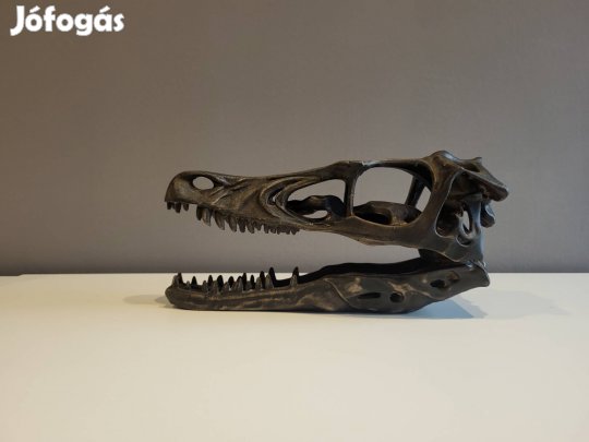 Velociraptor Koponya