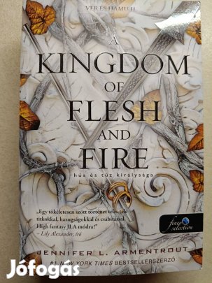 Vér és hamu II. Hús és tűz királysága könyv
