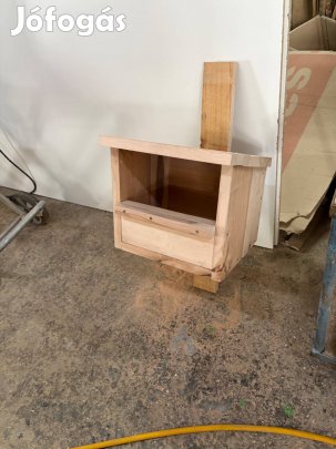 Vércse odú madár fészkelő hely