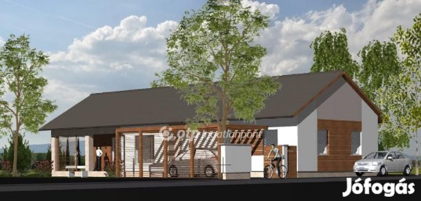 Veresegyházi 130 nm-es ház eladó