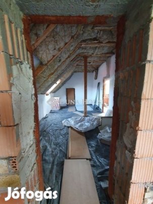 Veresegyházi 280 nm-es ház eladó