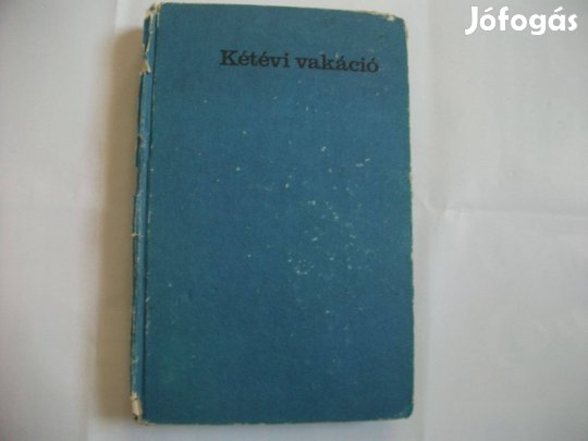 Verne Gyula: Kétévi vakáció