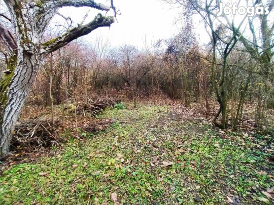 Verőce Csendes-völgyében külterületi telkek eladók!