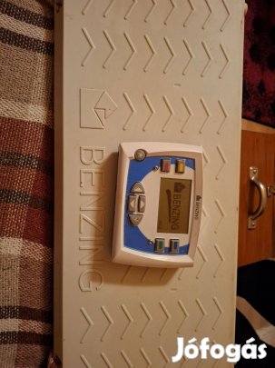 Verseny postagalambok eladók