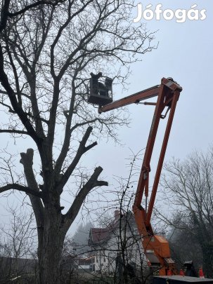 Veszélyes fa kivágás saját kosaras autóból 