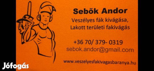 Veszélyes favágás , fakivágás , favágás